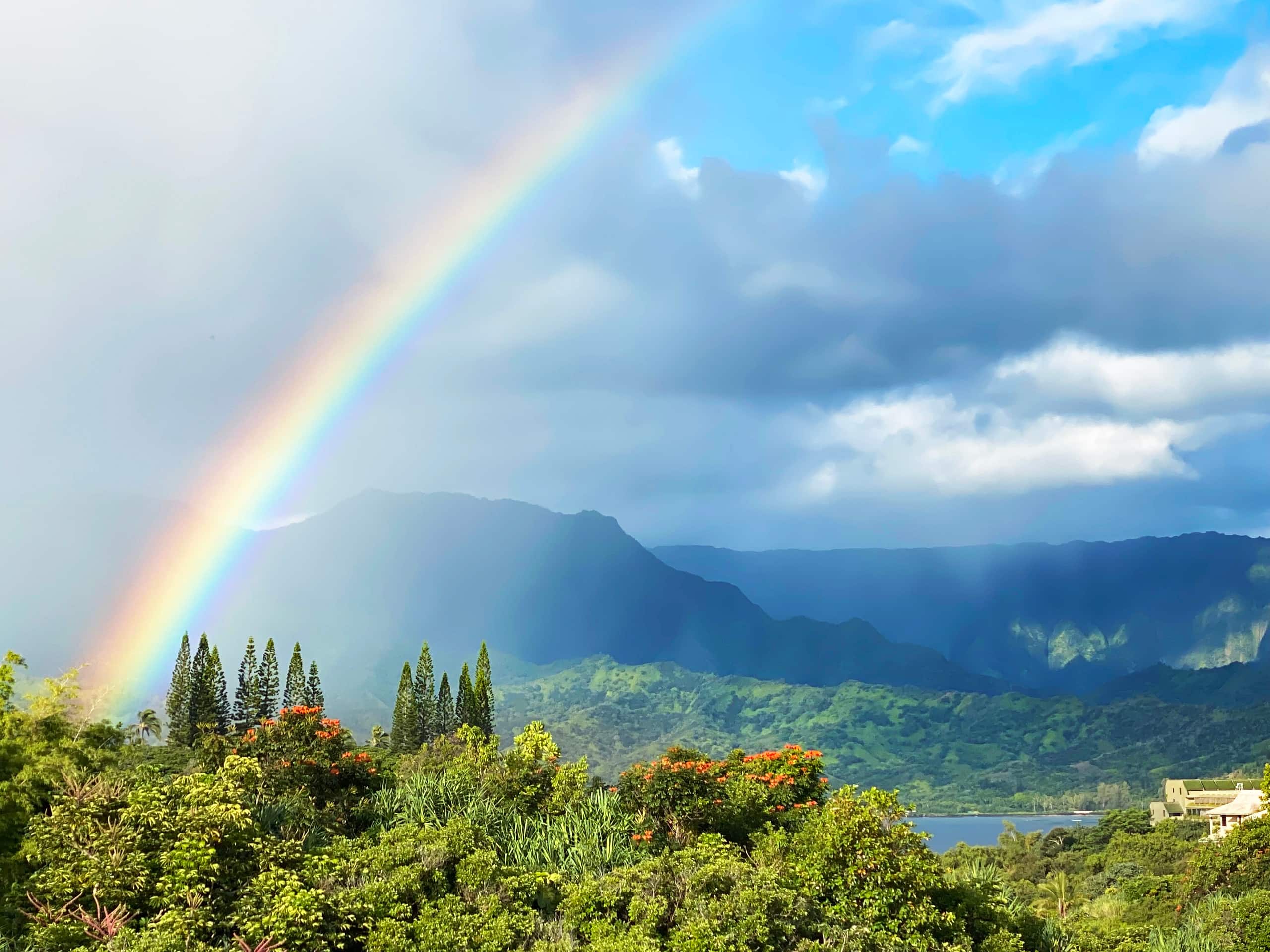 New! Hanalei Bay Penthouse with Ocean Views - Image 15
