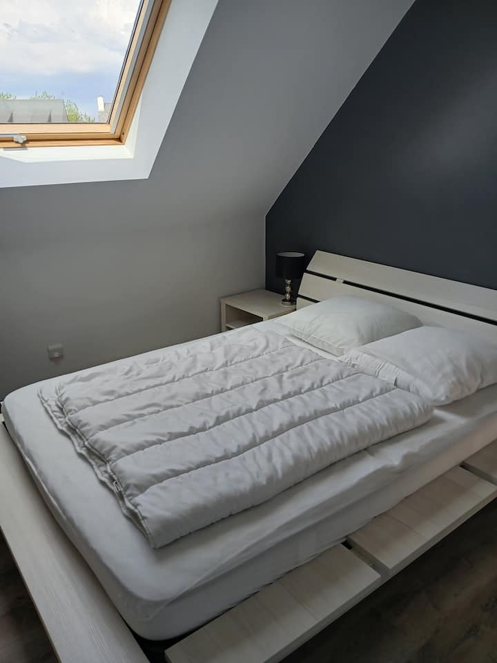 Habitación 1