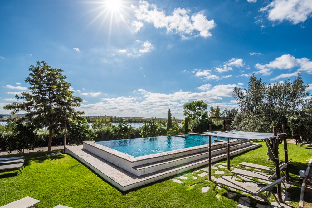 A clear blue sky is highlighted by sunlight over a spacious outdoor area featuring a rectangular pool surrounded by green grass. Lounge chairs are arranged nearby, along with shaded seating. Lush greenery and trees frame the pool, providing a serene and natural setting.