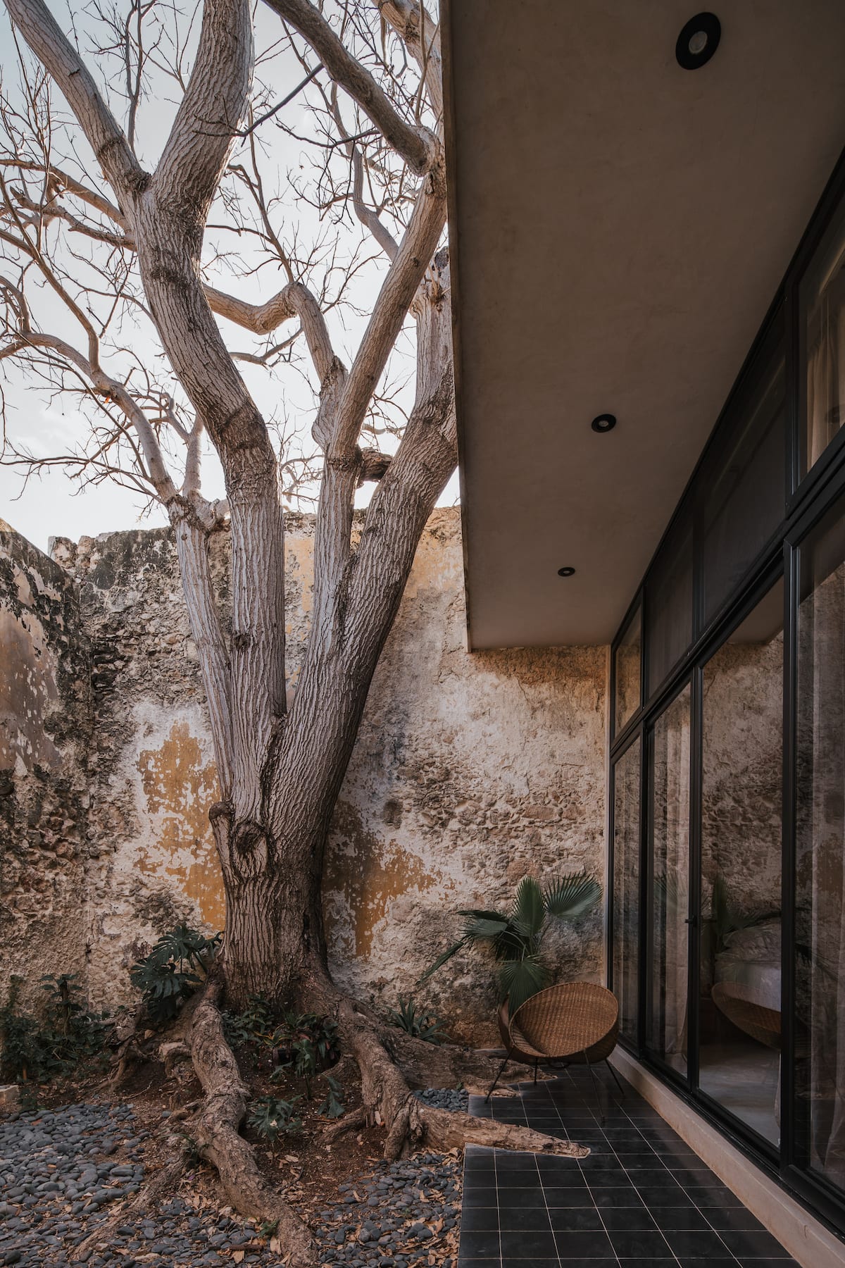 Casa Zotz, ancient stone sanctuary with lap pool in Campeche walled city — Casonas MX — photo 22