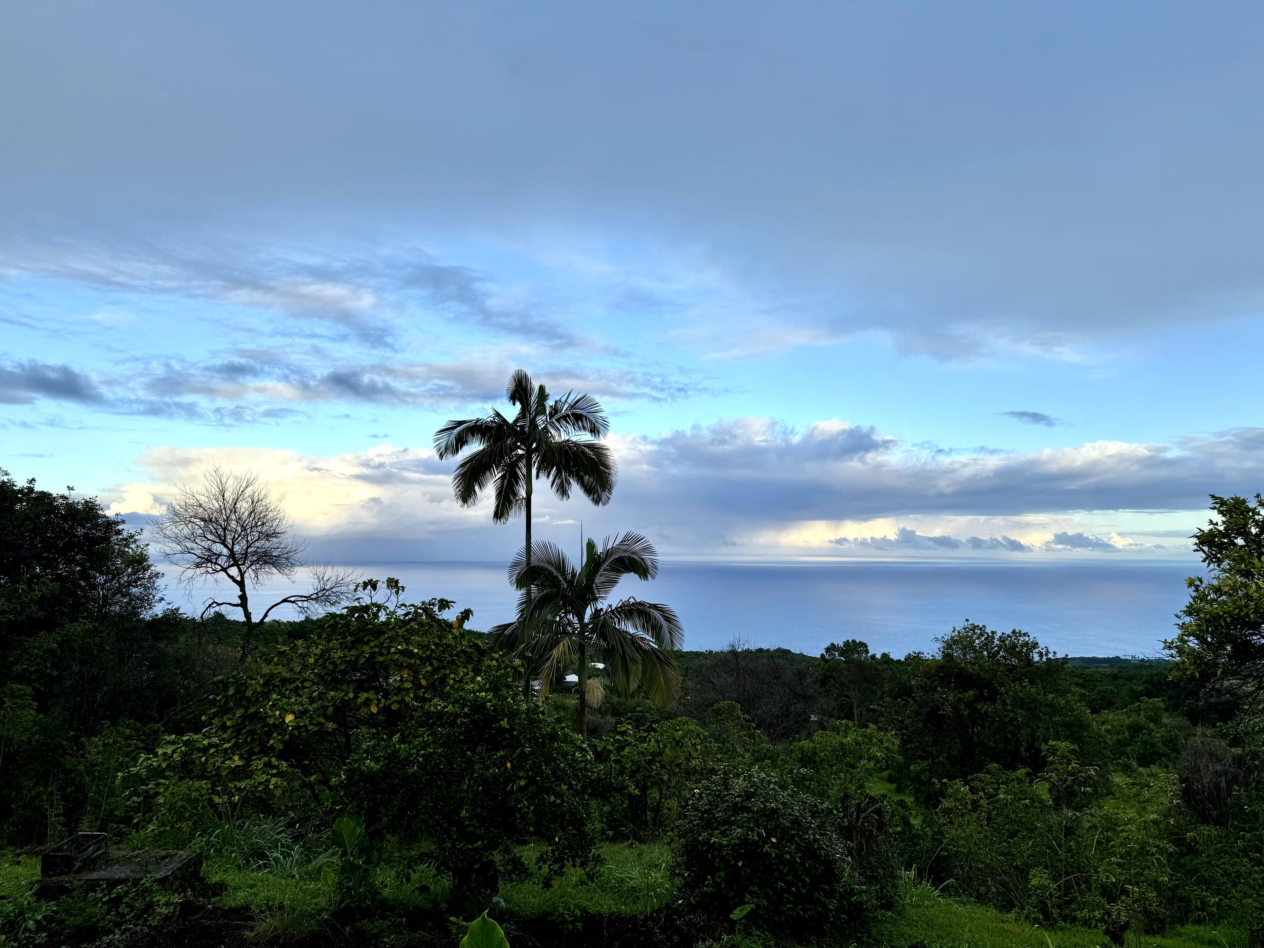 Home in Kailua-Kona · ★4.91 · 3 bedrooms · 3 beds · 2 baths - Image 115