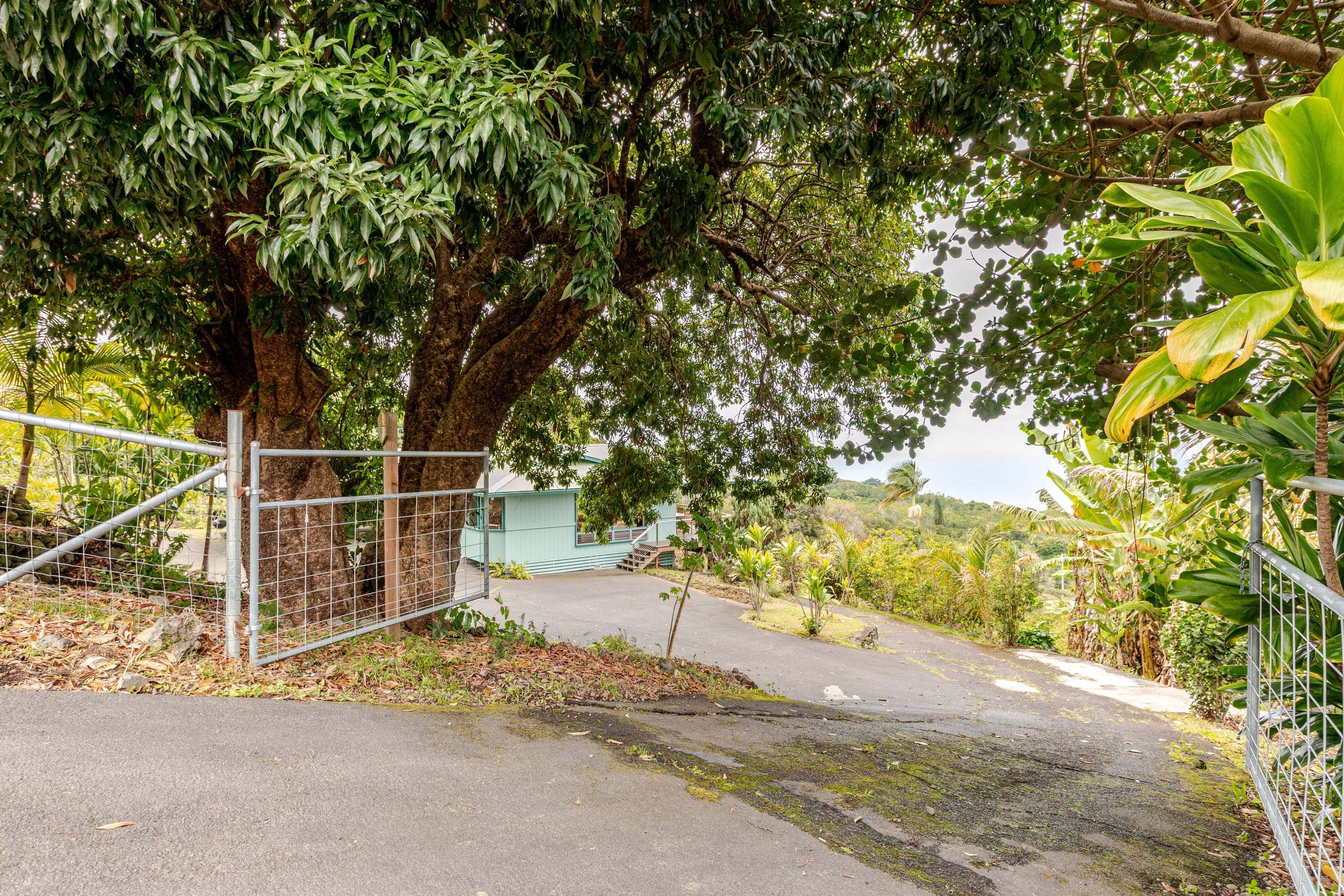 Home in Kailua-Kona · ★4.91 · 3 bedrooms · 3 beds · 2 baths - Image 139