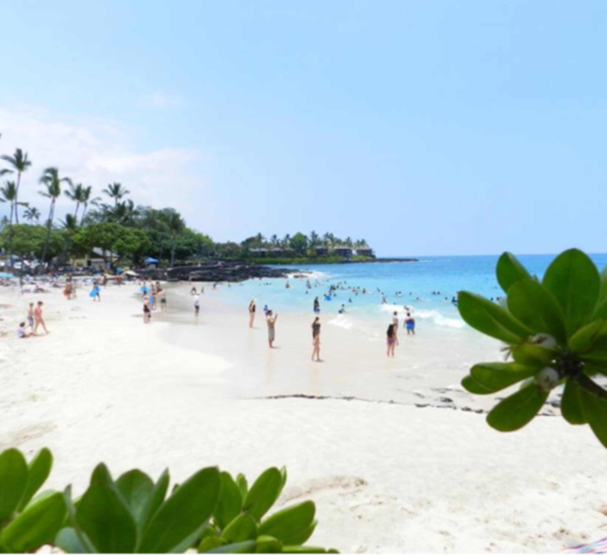 Nansea's Studio: Walk 2 Magic's & Kahalu'u Beaches - Image 14