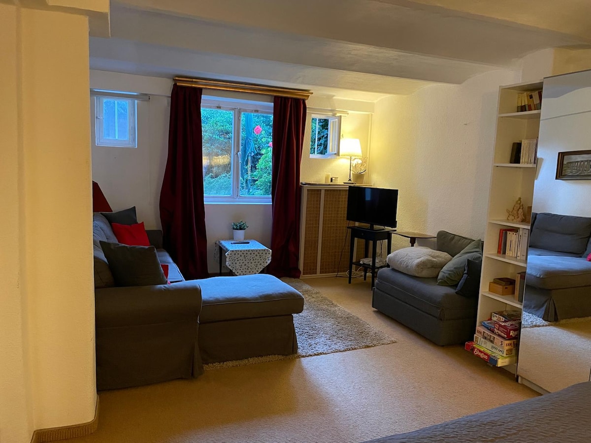 Successful Airbnb property: Charming basement apartment in a traditional house in Schwachhausen