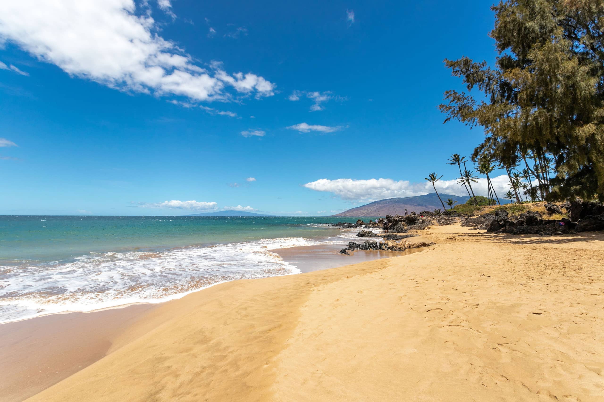Maui View - Image 16
