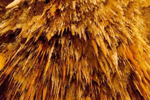 Nature Lovers: Snowy Cottage Escape! Book Direct