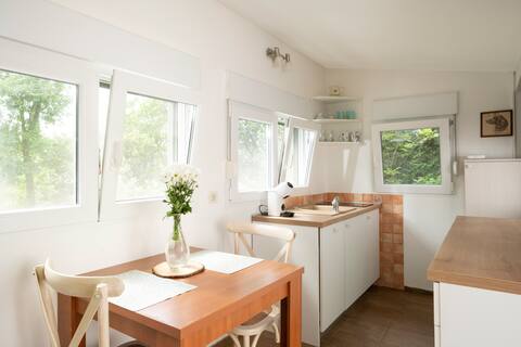 Popular Airbnb listing: Tiny house Laurel - 70 meters from the beach in Mjesni Odbor Podvežica
