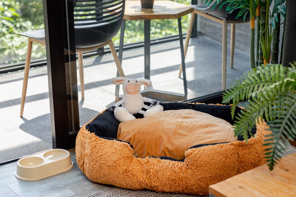 A pet bed with a plush orange exterior is positioned near a large glass door, letting in natural light. A black and white stuffed animal rests on the bed, while a pair of food bowls sits nearby, completing the cozy pet setup.