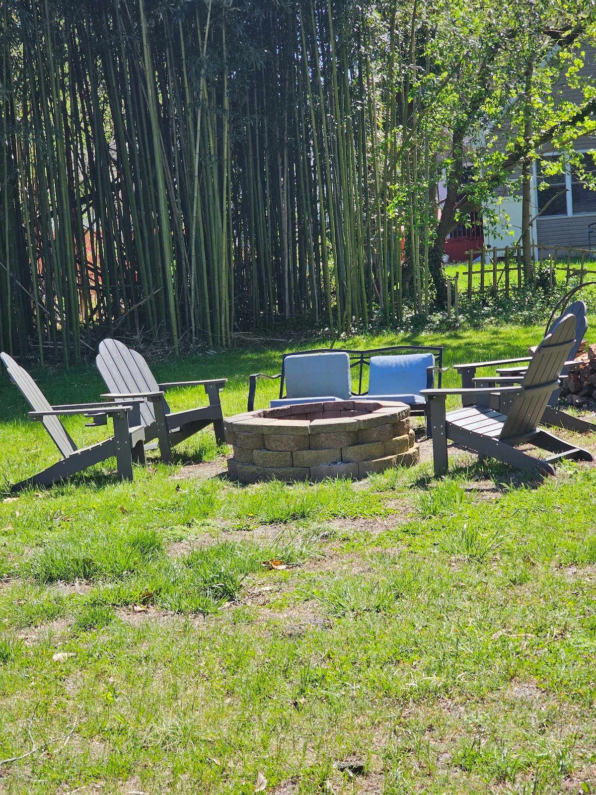 A firepit surrounded by several adirondack chairs creates a cozy outdoor gathering space. The firepit is constructed from stone, and is situated on a grassy area, with tall bamboo trees providing privacy in the background.