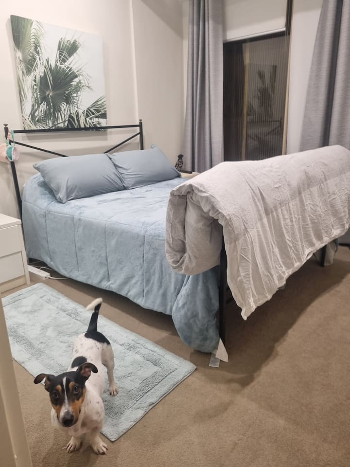 Pooch Palace humans welcome Has Pool Gym Apartments for Rent in Pooch Palace humans welcome Has Pool Gym Apartments for Rent in