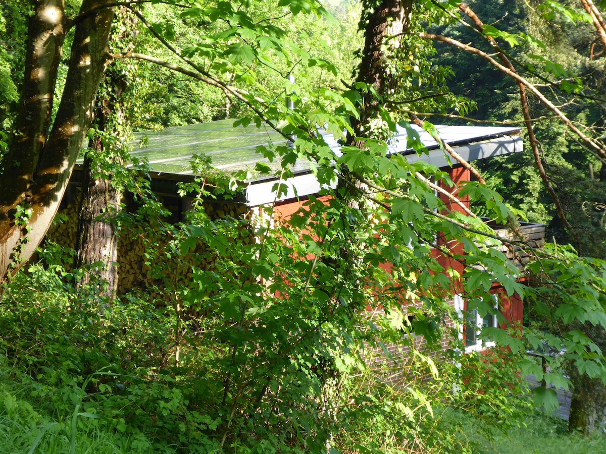The chalet is partially hidden among lush green foliage, showcasing a sloped roof equipped with solar panels. Surrounding trees create a natural frame, emphasizing the serene forest setting, while a glimpse of the building's colorful exterior can be seen through the dense vegetation.
