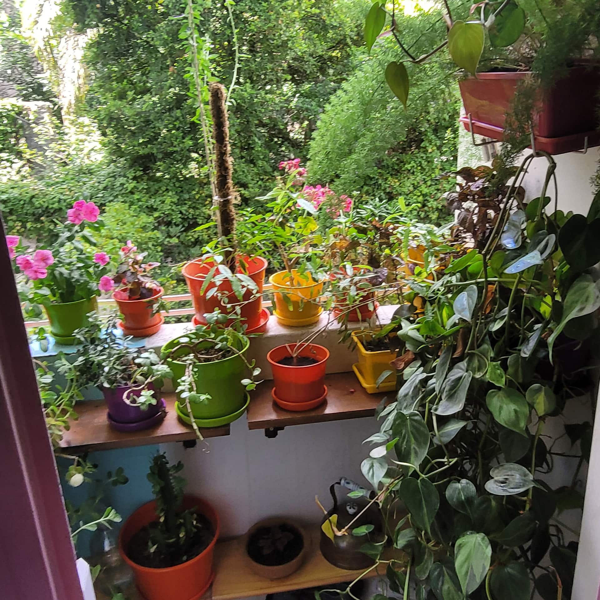 Departamento de 2 ambientes en San Telmo