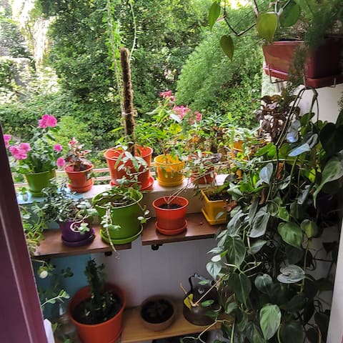 Successful Airbnb property: An artist's apartment in San Telmo in San Telmo