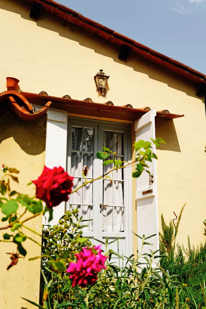 Charming Villa With Pool A/c Close To Lucca Pisa - Lucca