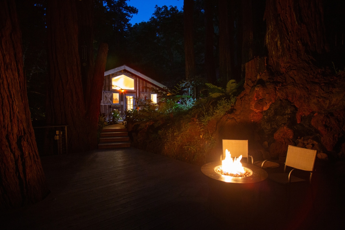A modern cabin is visible among towering redwoods, illuminated by warm light from within. The outdoor area features a fire pit with flames dancing above, surrounded by two chairs. The scene conveys a peaceful retreat amidst nature.
