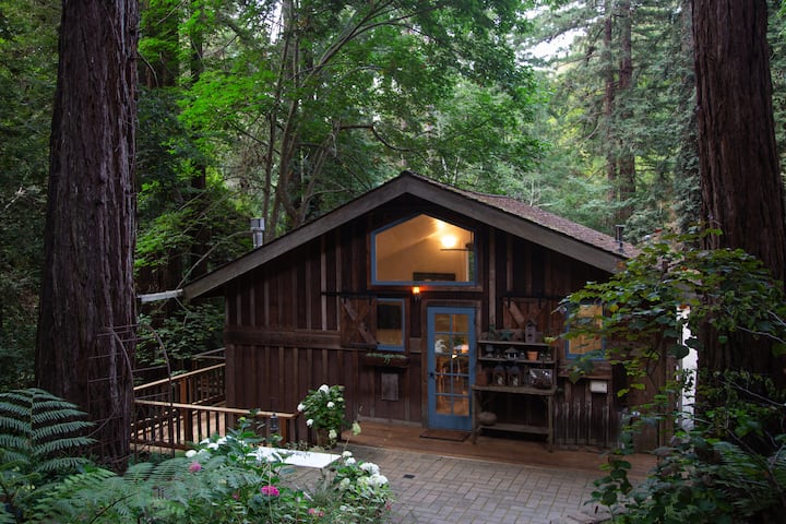 tranquil cabin in a redwood grove