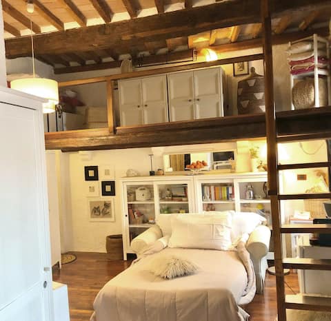 Top Airbnb: Studio 1700 historic center Top for Singles in Grosseto
