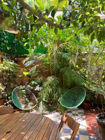 A real GEM in the heart of Condesa: House w/ patio gallery image 4