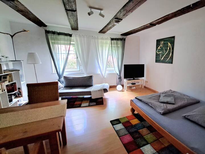 Monteur- Und Ferienwohnung "Fuchsrevier" - Königslutter