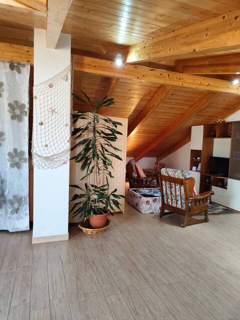 Top Airbnb: Charming apartment in Olbia in Olbia