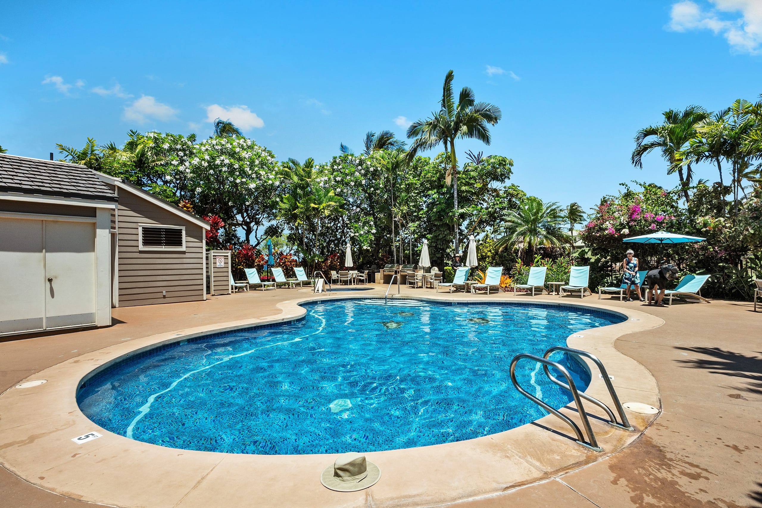 Condo in Kihei · ★4.91 · 3 bedrooms · 4 beds · 2 baths - Image 32