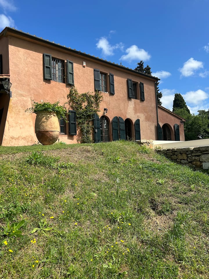 Poggio Ai Due Pini - Bibbona