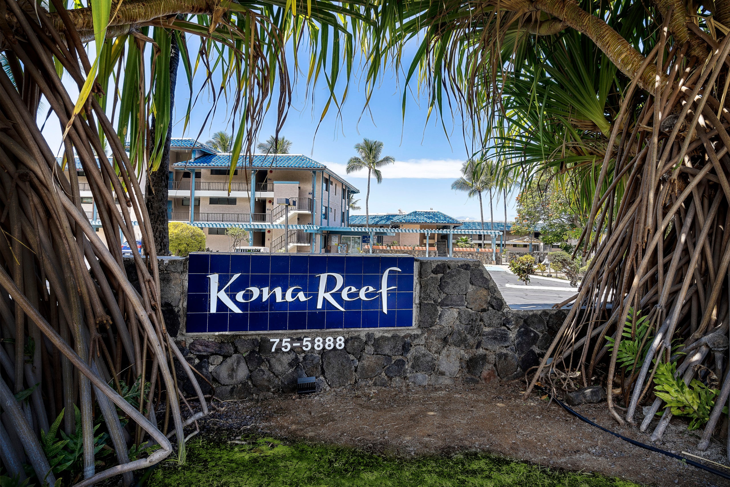 Condo in Kailua-Kona · ★4.88 · 1 bedroom · 1 bed · 1 bath - Image 22