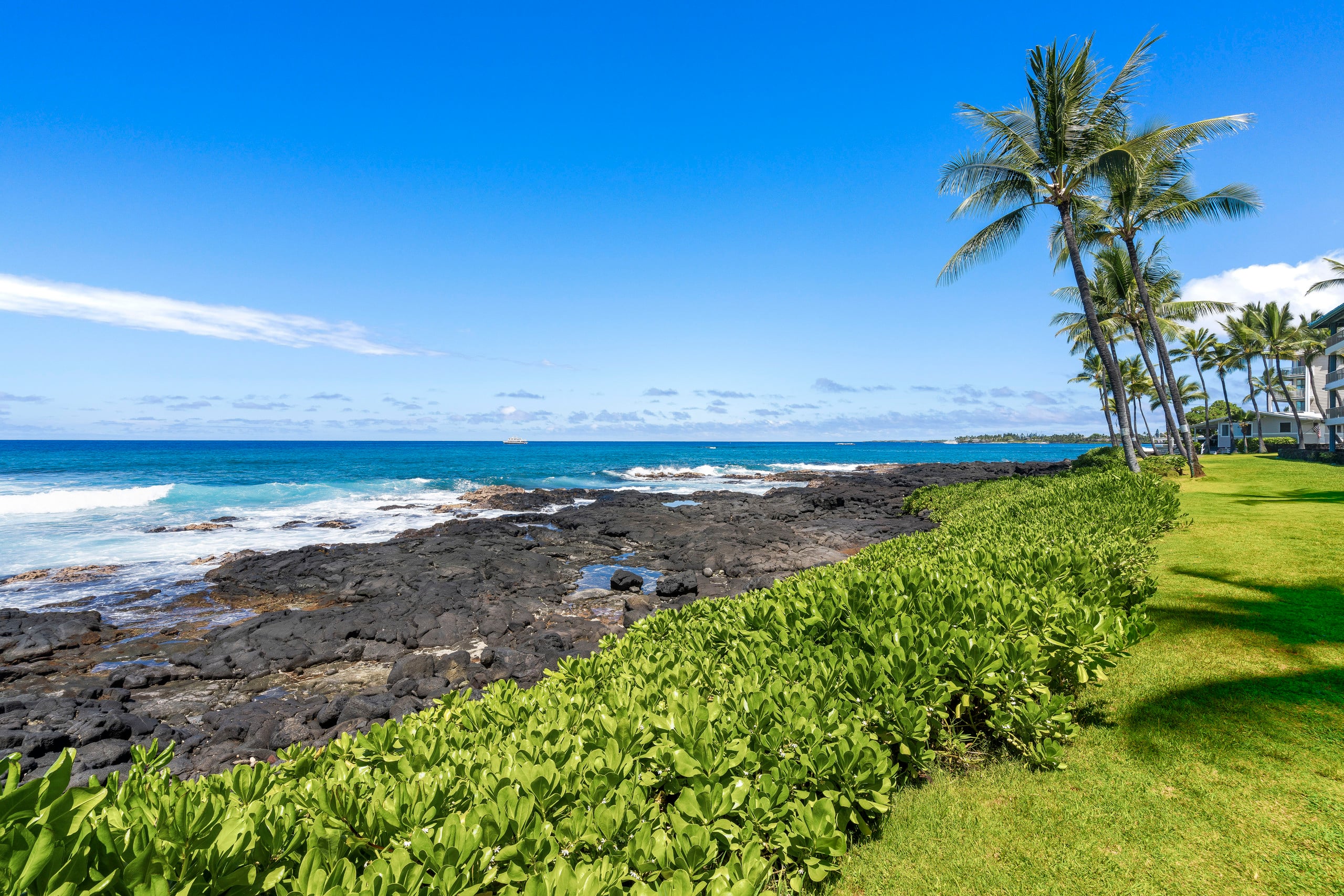 Condo in Kailua-Kona · ★4.88 · 1 bedroom · 1 bed · 1 bath - Image 53