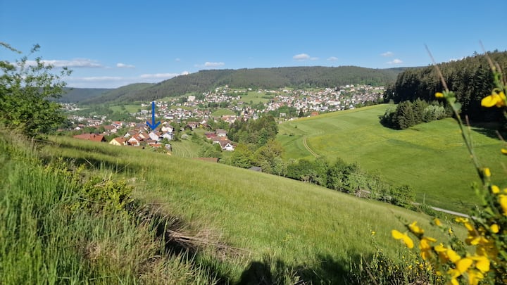Baiersbronn Direkt, Schwarzwald, Aussicht, 2 Zi., Sonne, Balkon, Ruhe - Baiersbronn
