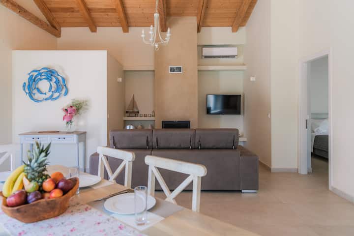 open living area with fire and TV - the sofa can be pulled out to a comfortable bed.