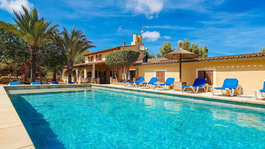 C’an Toni Carol SV-977