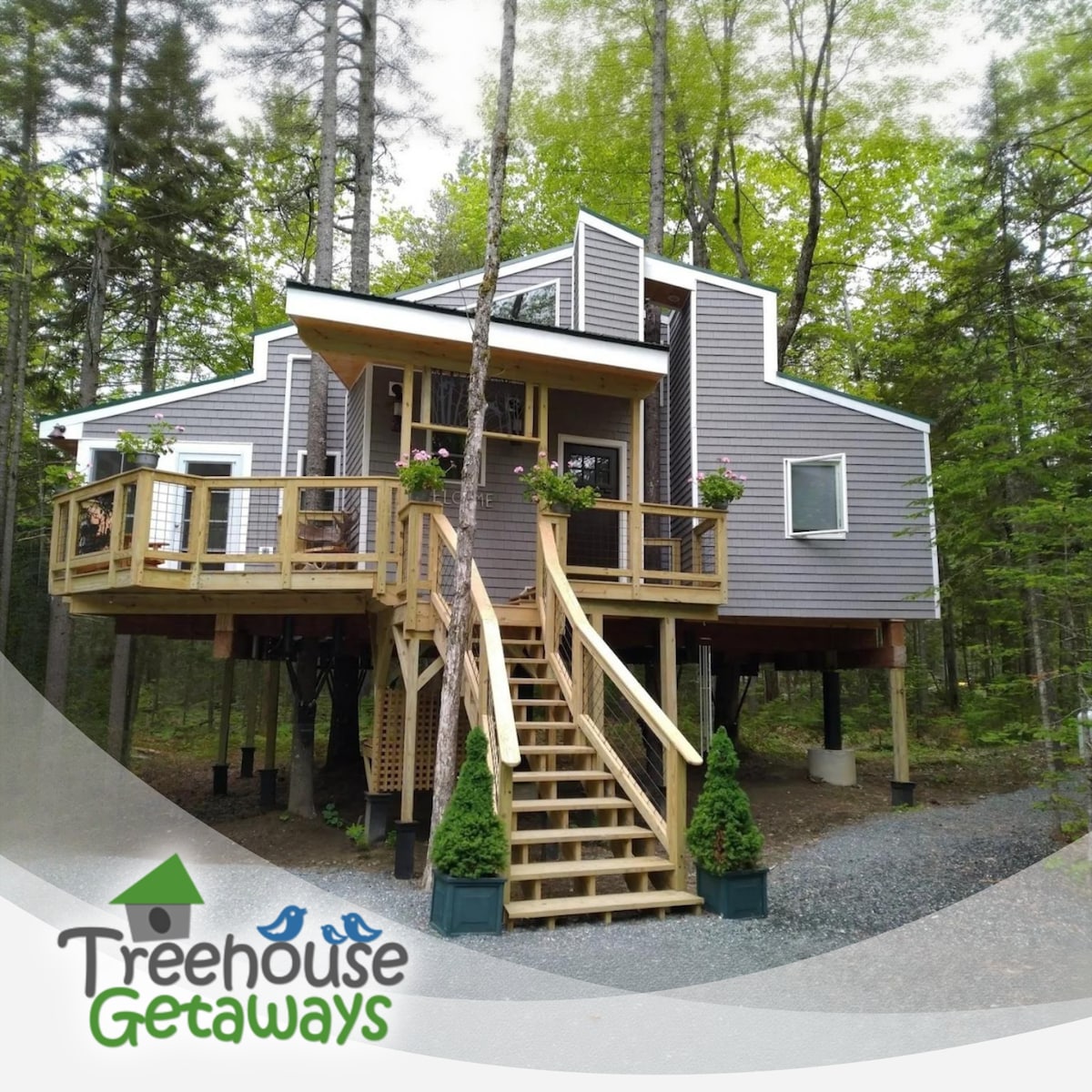 A modern treehouse stands elevated on stilts among the trees, featuring a blend of gray siding and white trim. Sturdy wooden stairs lead to a welcoming entrance adorned with flower boxes. Lush greenery surrounds the structure, enhancing the serene forest setting.
