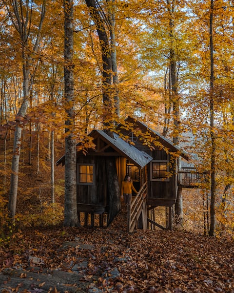 Cabins+Treehouse on 50ac Hot Tub/Sauna/PettingZoo