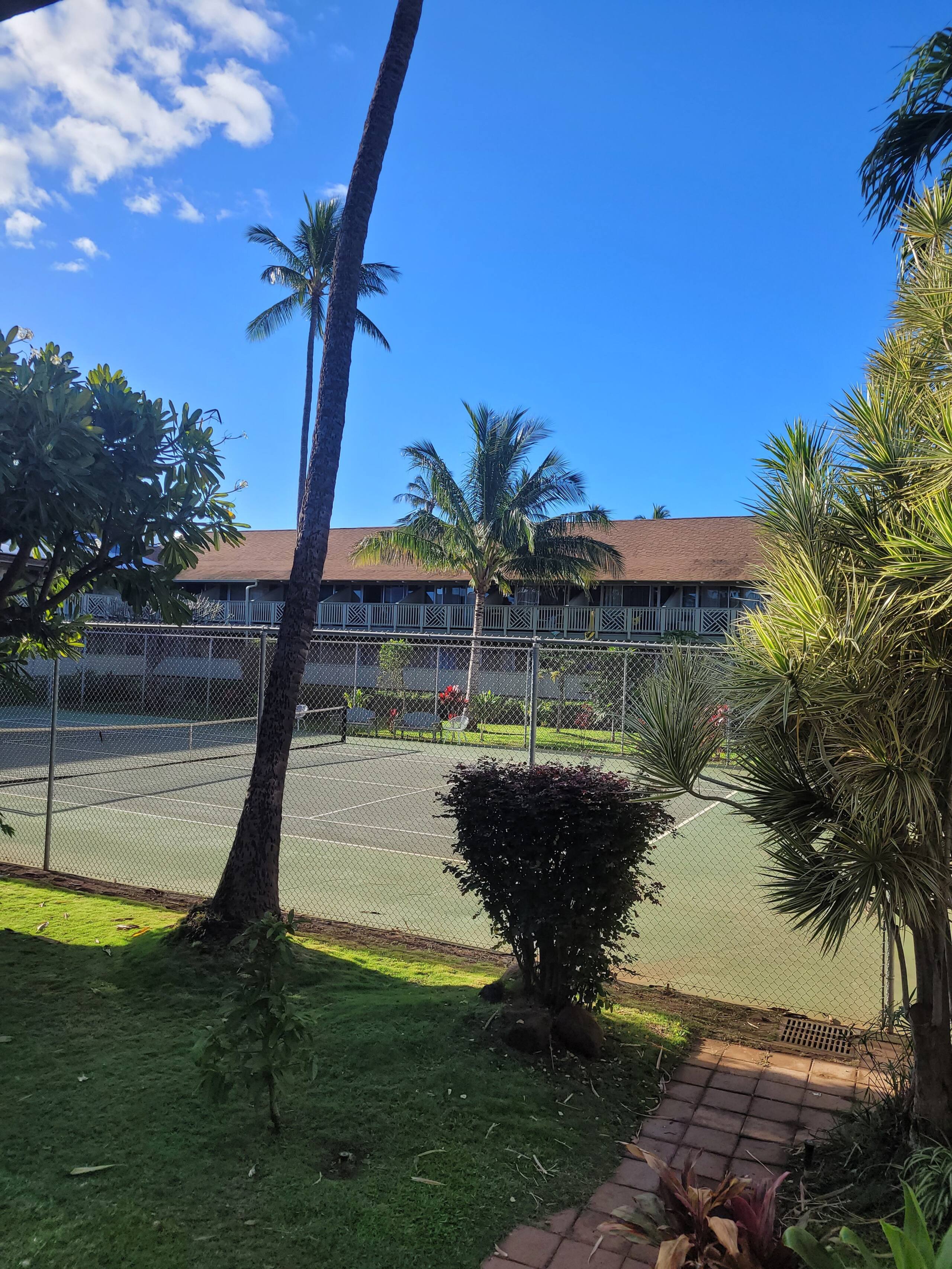 Condo in Kihei · ★4.9 · Studio · 1 bed · 1 bath - Image 10