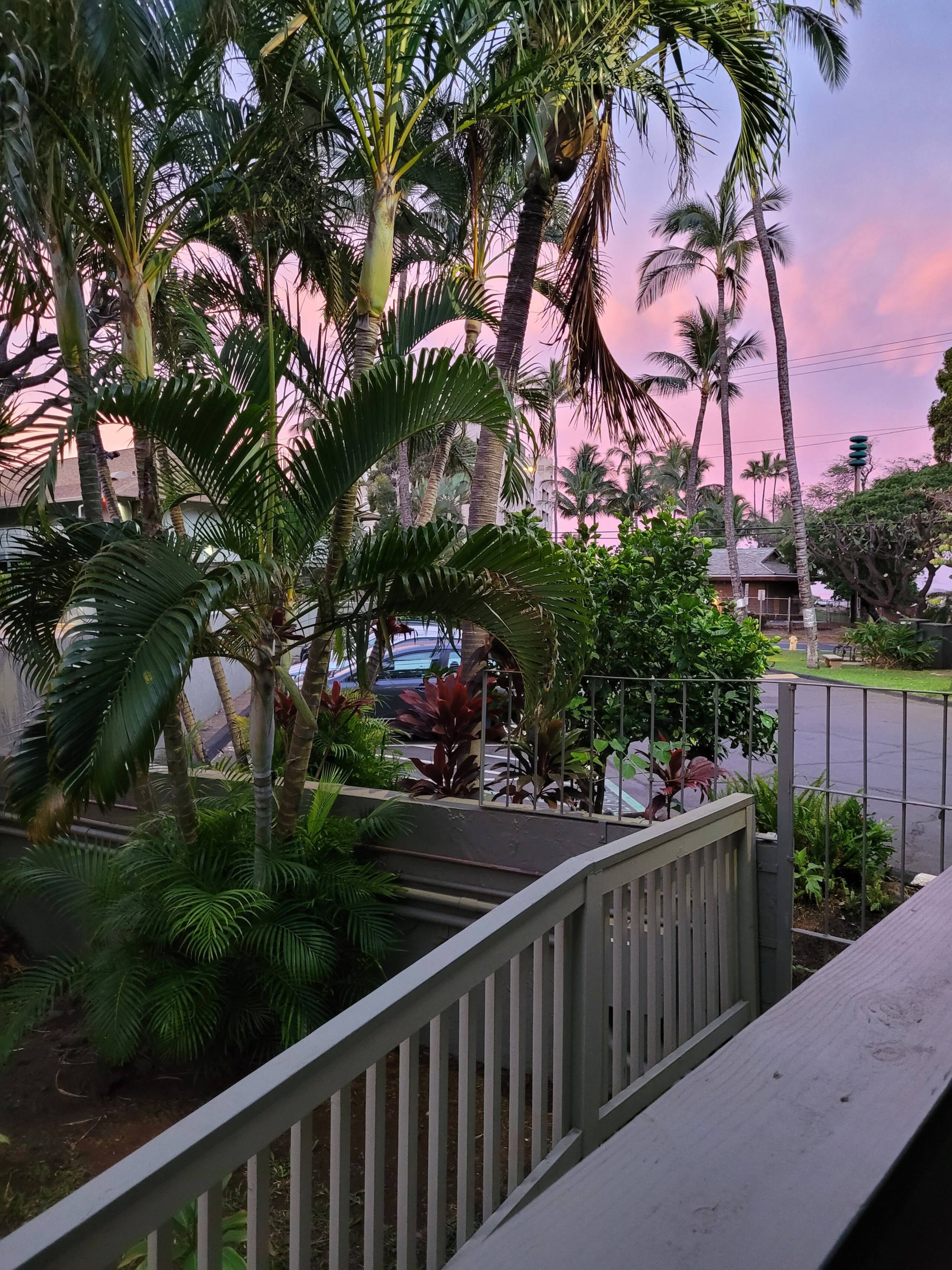 Condo in Kihei · ★4.9 · Studio · 1 bed · 1 bath - Image 9