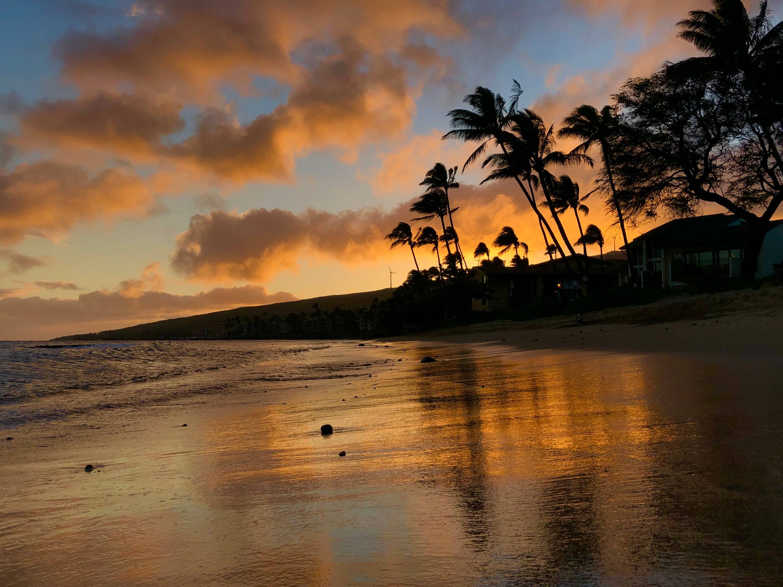 Condo in Wailuku · ★4.95 · 1 bedroom · 1 bed · 1 private bath - Image 33