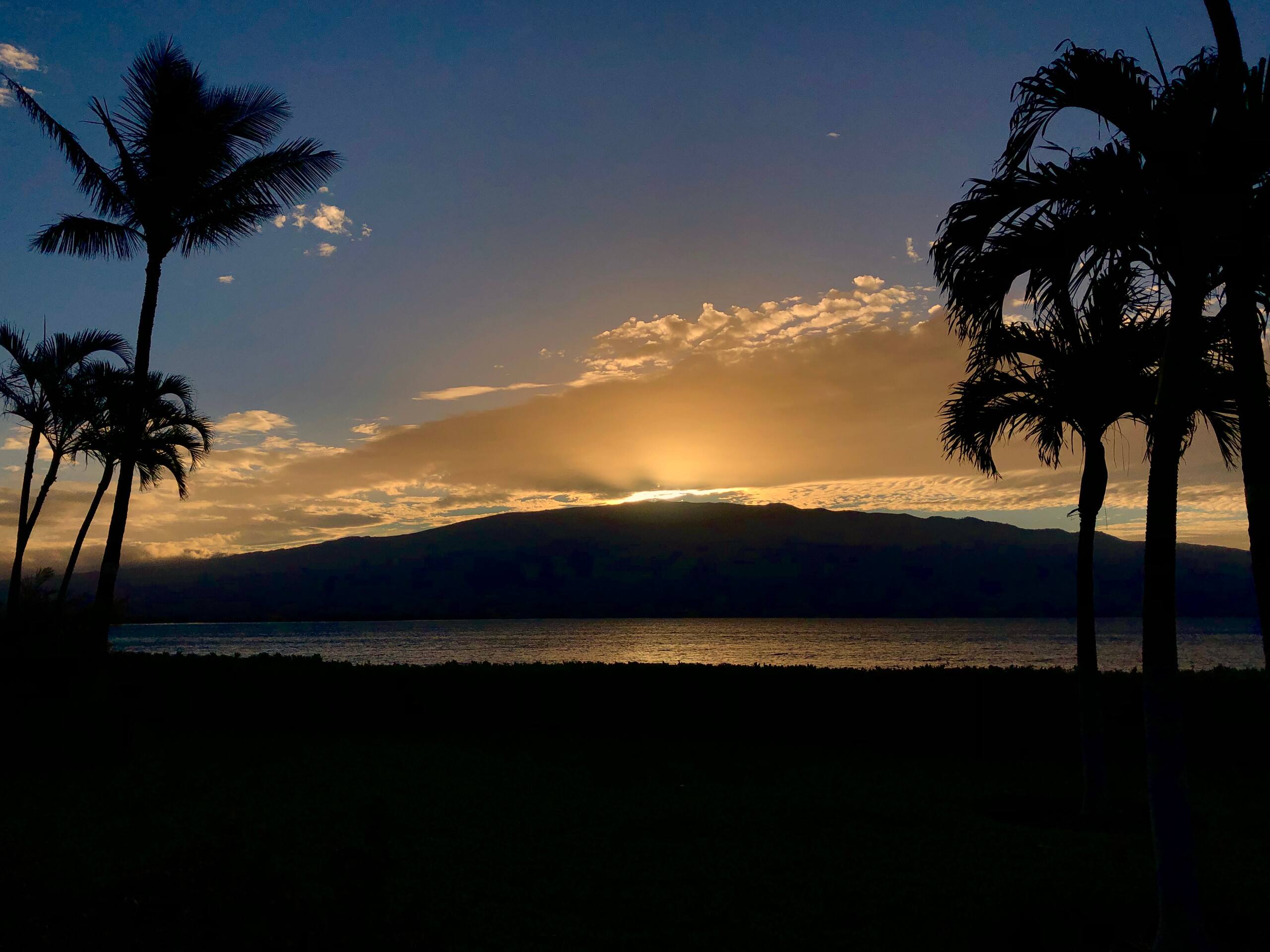 Condo in Wailuku · ★4.95 · 1 bedroom · 1 bed · 1 private bath - Image 26