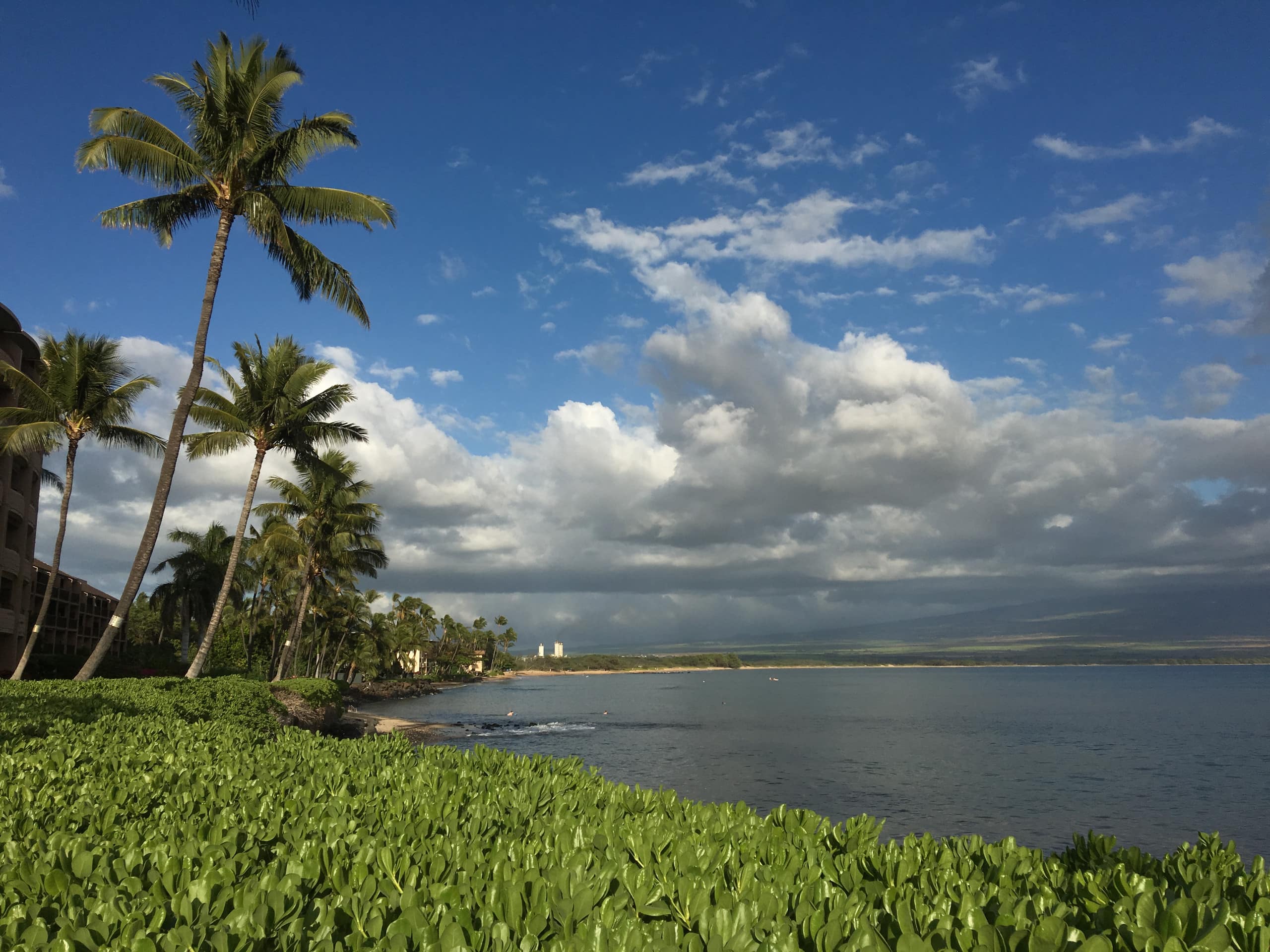 Condo in Wailuku · ★4.95 · 1 bedroom · 1 bed · 1 private bath - Image 29