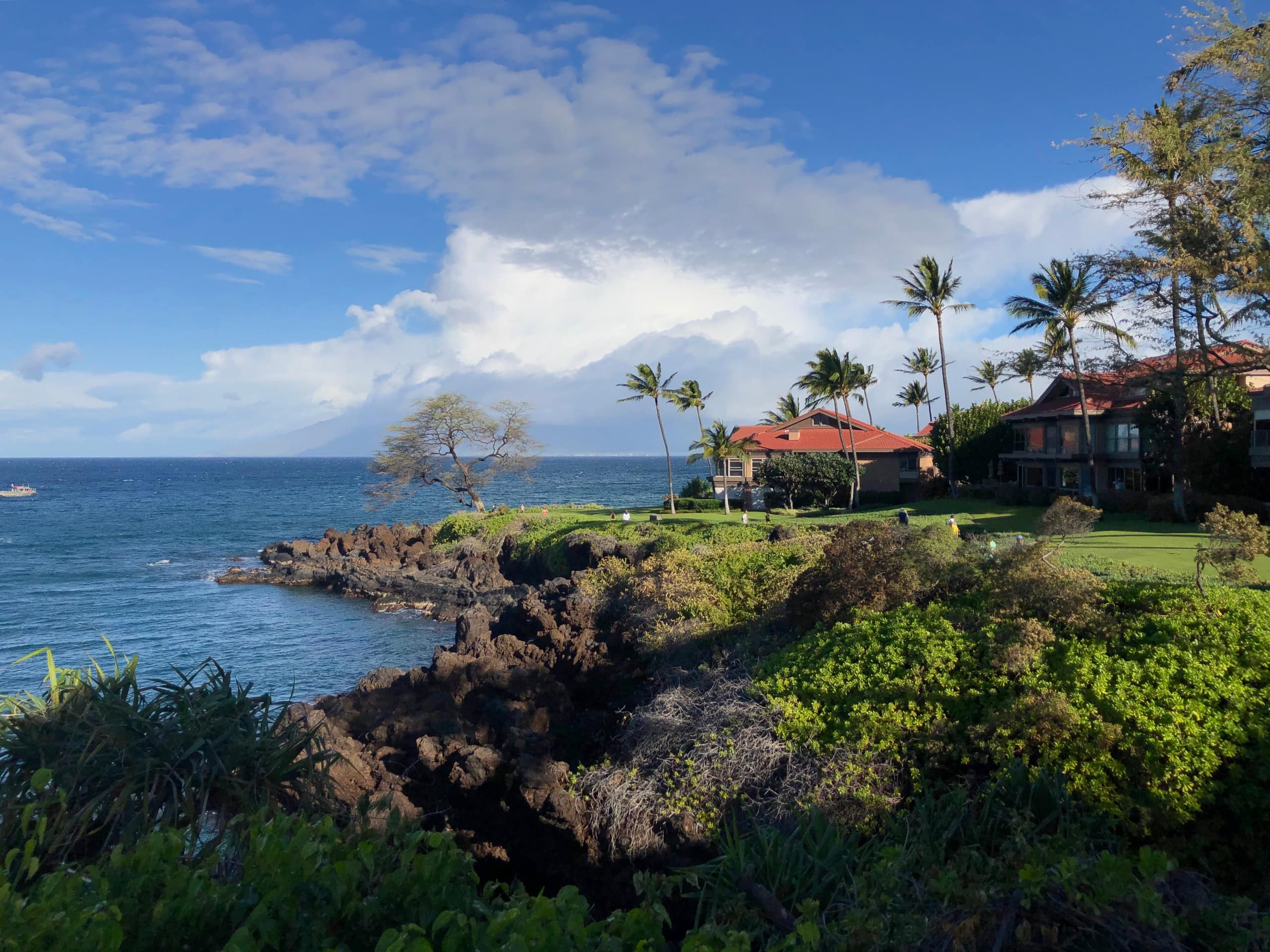 Condo in Wailuku · ★4.95 · 1 bedroom · 1 bed · 1 private bath - Image 40