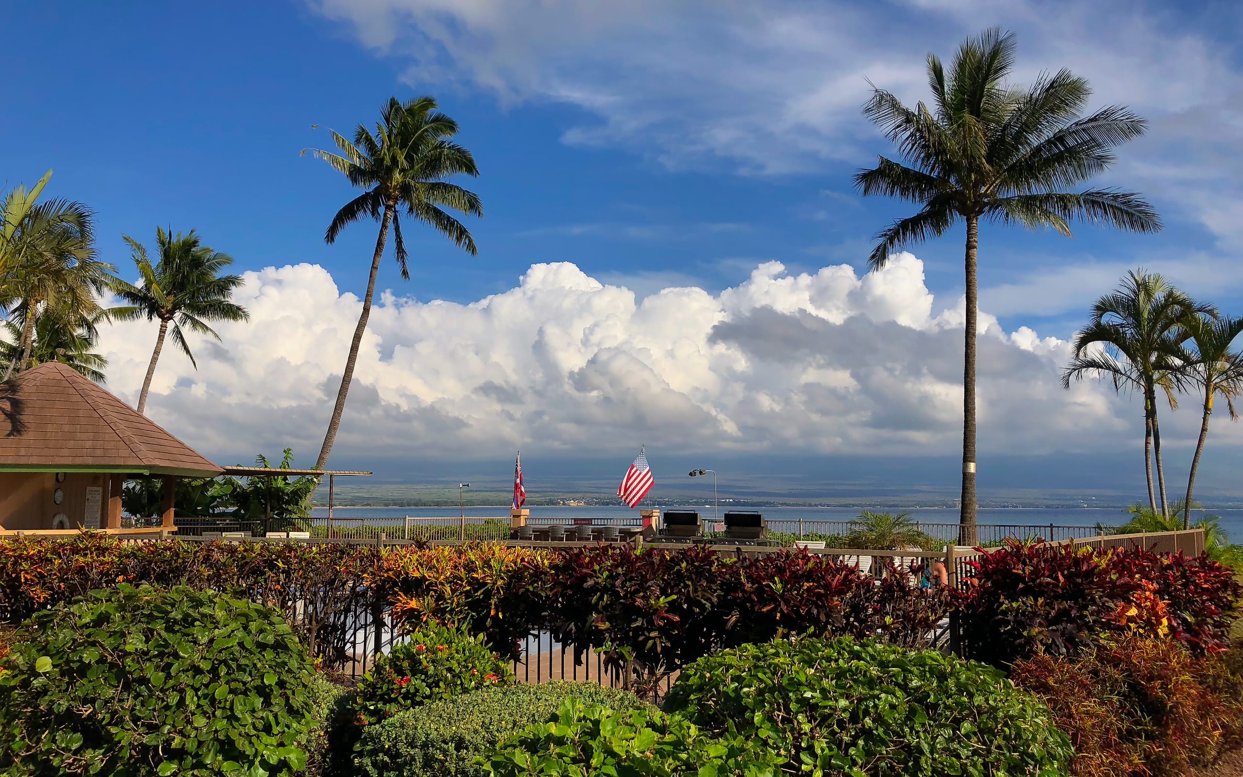 Condo in Wailuku · ★4.95 · 1 bedroom · 1 bed · 1 private bath - Image 21
