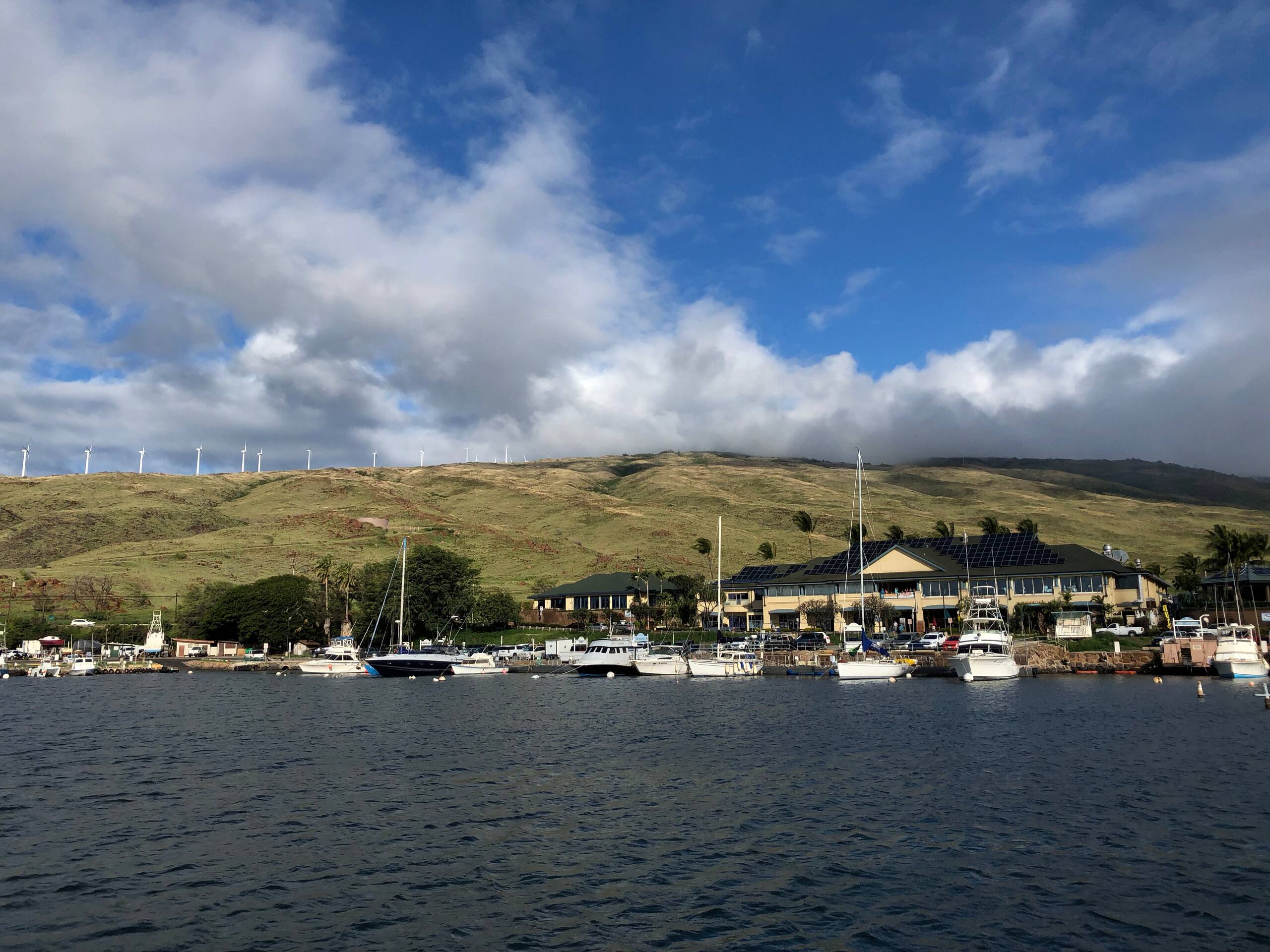 Condo in Wailuku · ★4.95 · 1 bedroom · 1 bed · 1 private bath - Image 30
