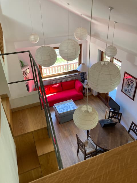 Ski Mountain Attic - Courmayeur