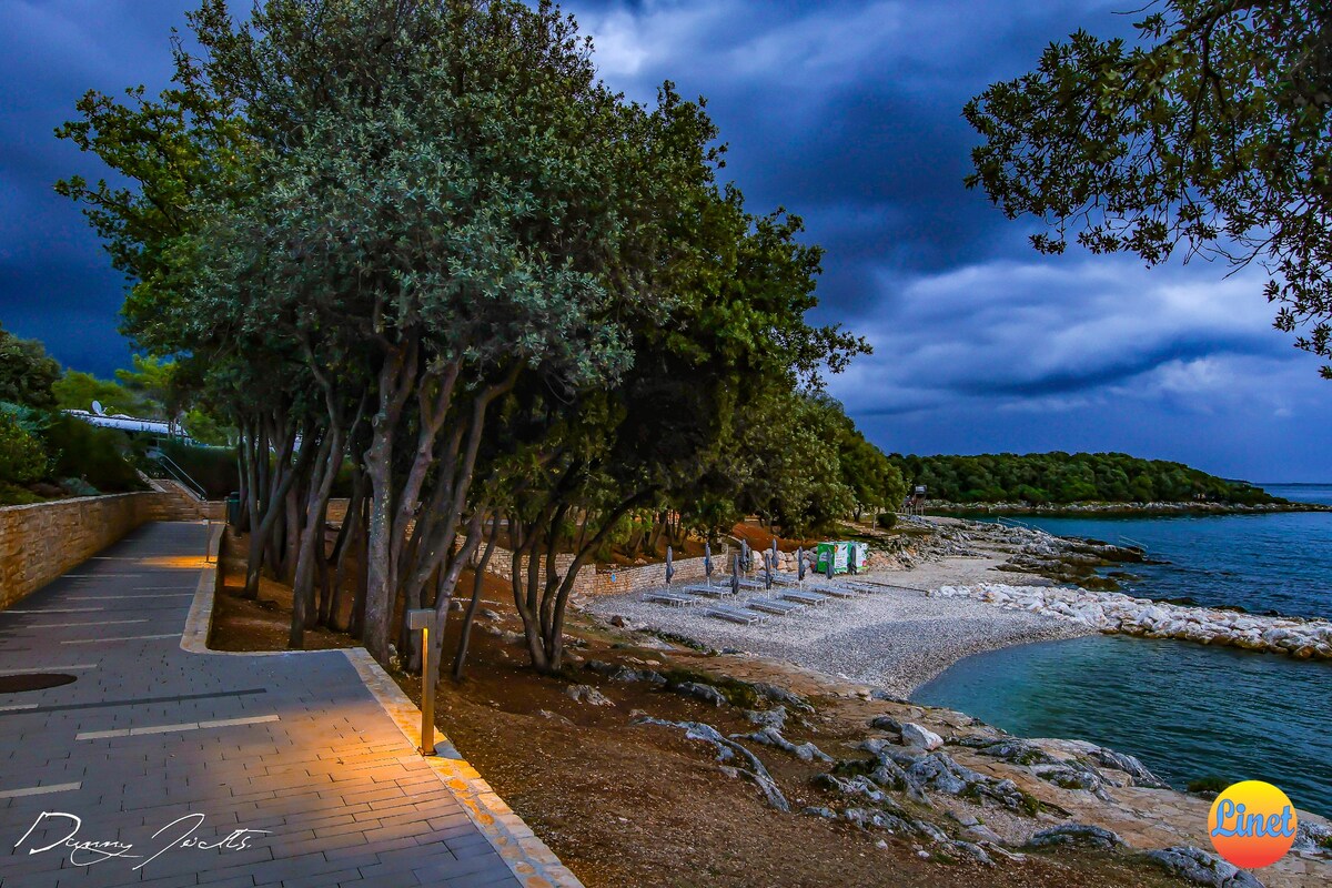 A serene coastal path lined with leafy trees is depicted alongside a rocky shoreline. The scene is set against a moody sky, hinting at twilight, with the gentle waves lapping at the beach in the background. A few beach lounge chairs are visible along the shore.
