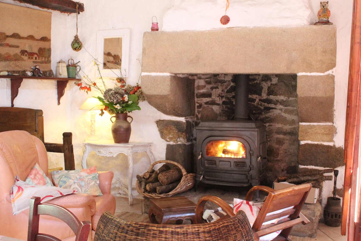 A rustic living area features a traditional stone fireplace with a wood-burning stove, contributing to a homey feel. Comfortable seating arrangements include a pink armchair and wooden chairs, with natural light filtering in, creating a cozy ambiance highlighted by decorative plants and artwork.