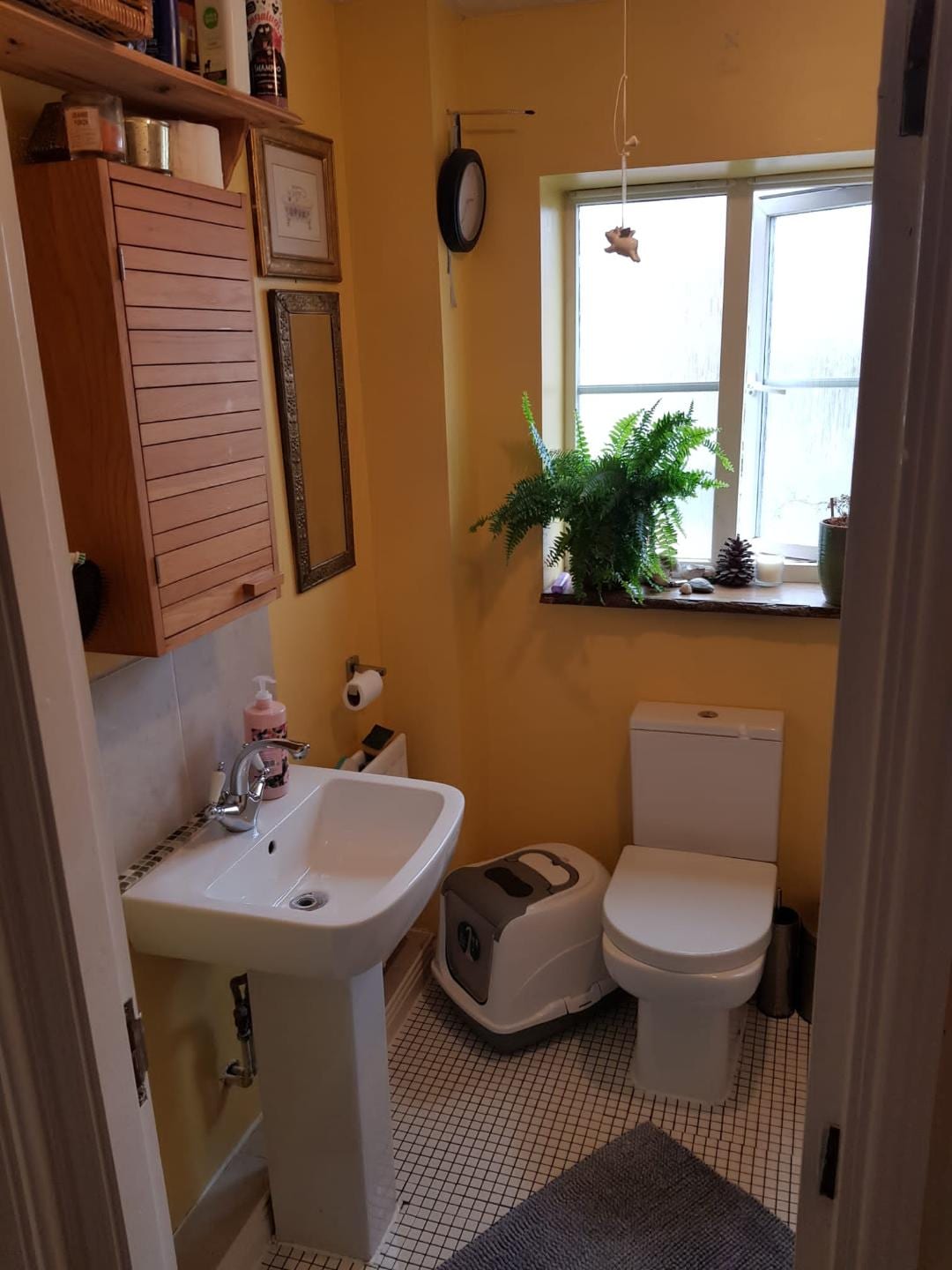 A small bathroom features a white sink and a toilet, with light entering through a window adorned with greenery. Shelving holds various items, and a textured mat is positioned on the floor. A subtle tile pattern complements the space.
