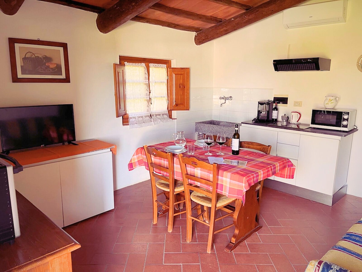 Successful Airbnb property: Angolino apartment, hamlet with sharing pool. in Rapolano Terme