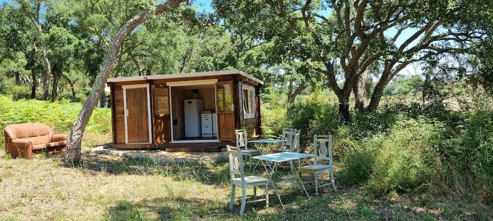 Cabin in Cercal — photo 2