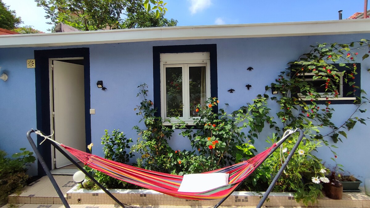 A colorful hammock is suspended in a garden area, surrounded by lush greenery and blooming flowers. A small window provides natural light to the adjacent room, which is painted in a calming blue hue. The entrance door is visible, enhancing the welcoming feel of the space.