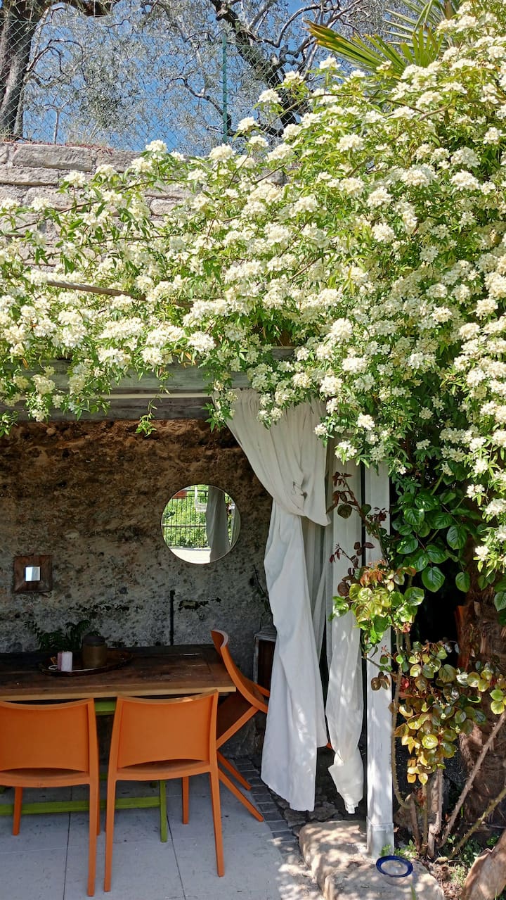 Il Giardino Segreto - Riva del Garda
