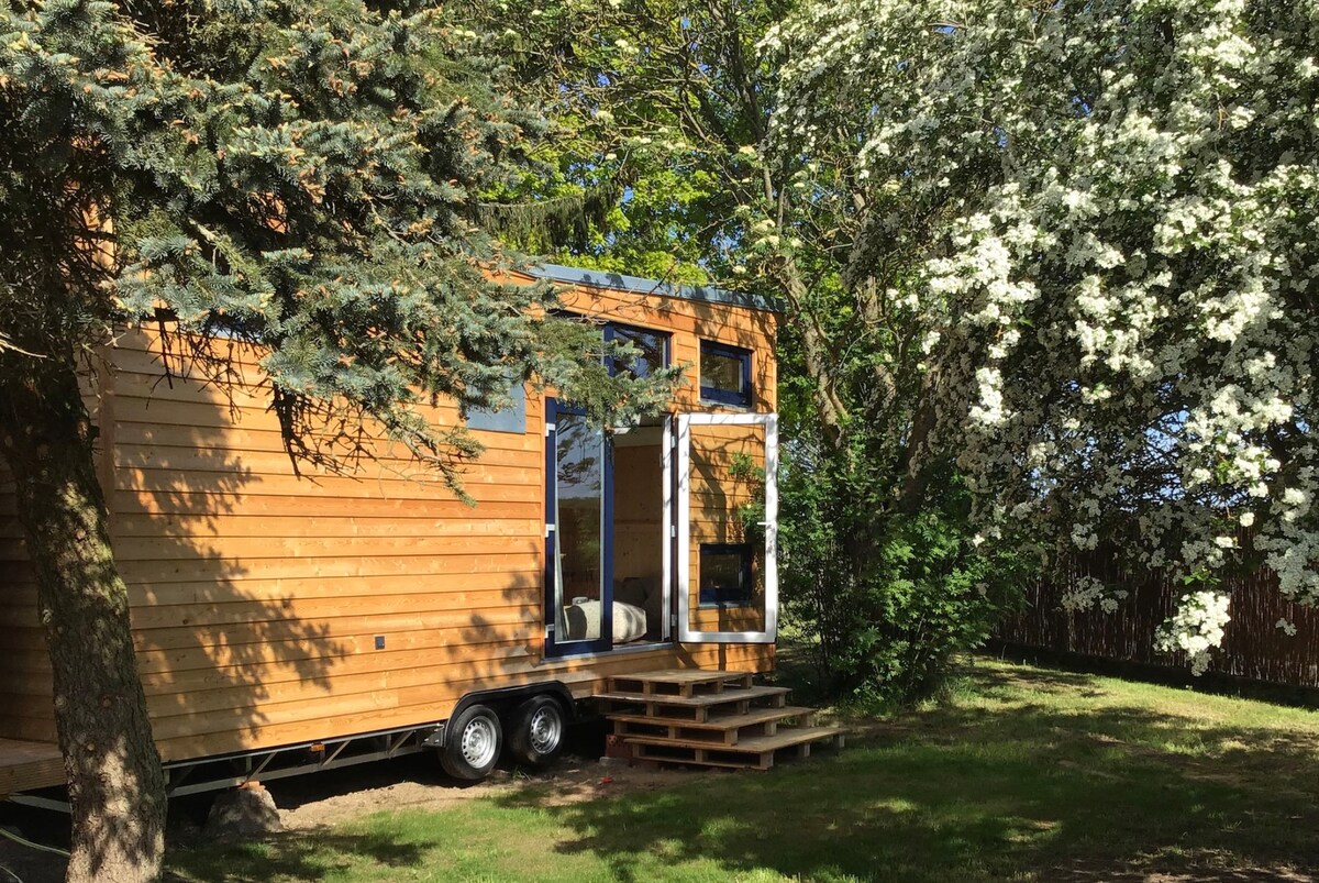 A wooden tiny house is nestled within greenery, featuring large glass doors that open onto a small wooden deck. Surrounding trees provide shade and a floral burst adds natural beauty to the scene, conveying a sense of tranquility in the outdoor space.